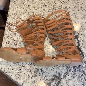 Torrid knee high Gladiators size: 8.5W